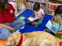 foto10